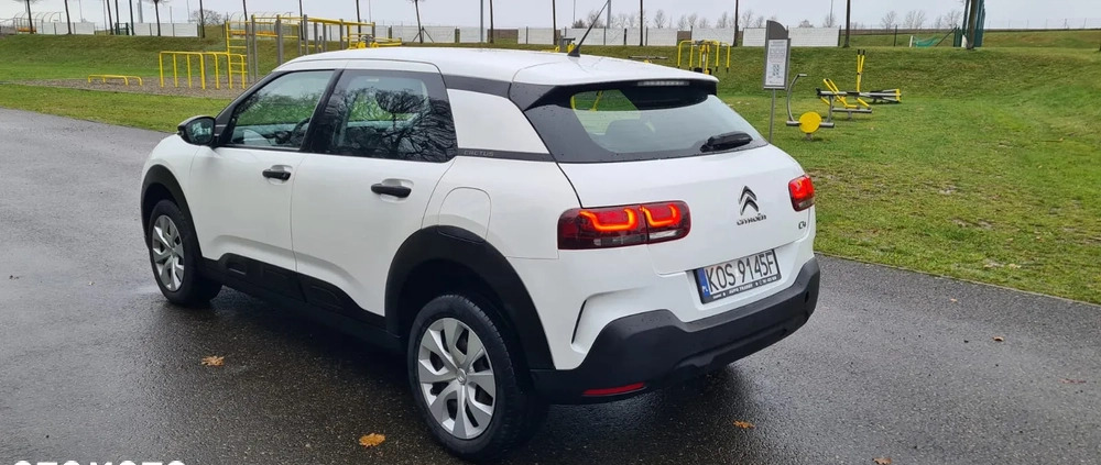 Citroen C4 Cactus cena 54900 przebieg: 39200, rok produkcji 2019 z Kęty małe 56